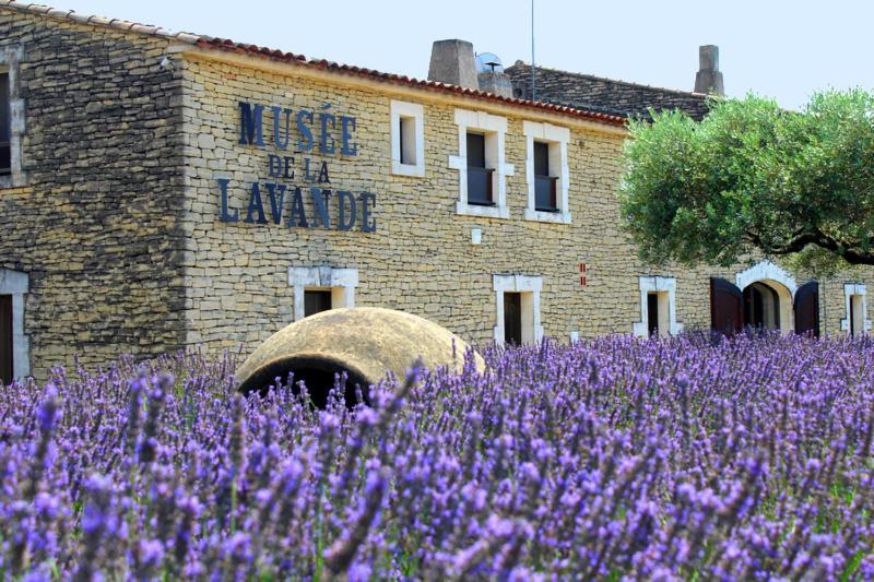 Chambre D Hotes Dans Le Vaucluse 마잔 외부 사진